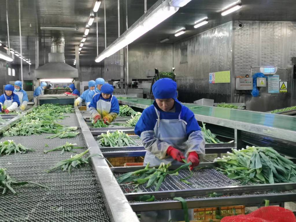 預(yù)制菜生產(chǎn)線定制方案與管理控制，如何組建預(yù)制菜的加工廠