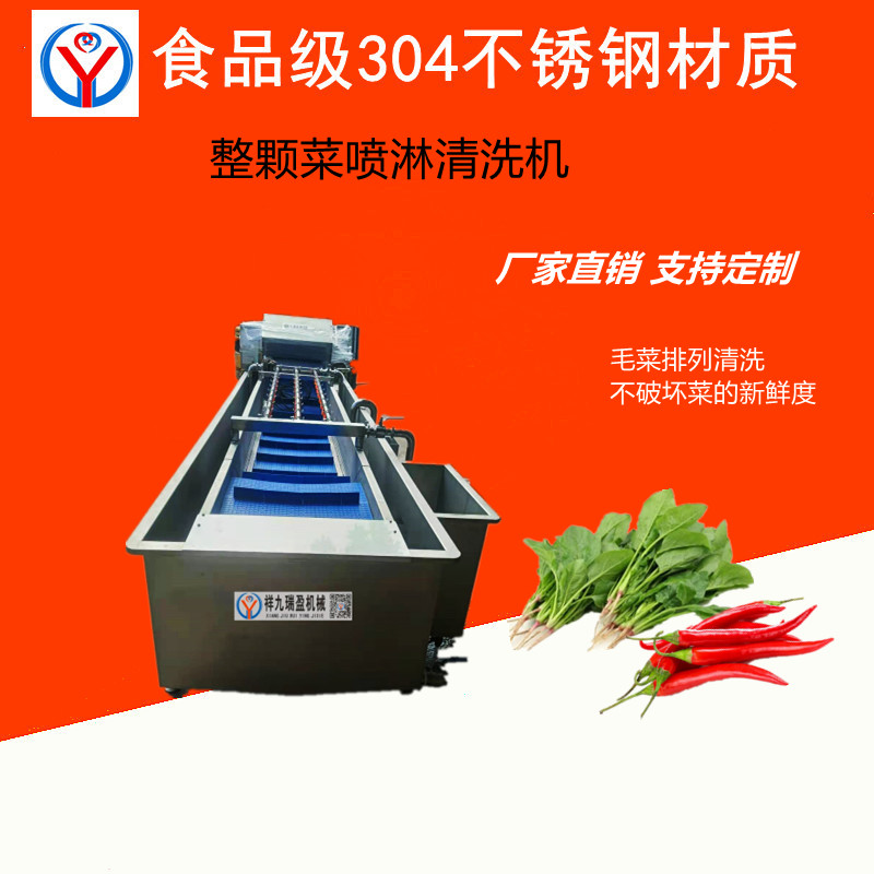 洗菜機-毛菜清洗設(shè)備-氣泡噴淋機-蔬菜清洗機